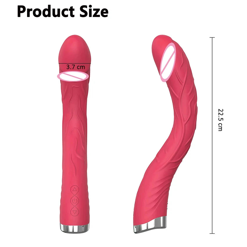 Vibrator Dildo G Spot with Female Stimulator Big Penis Anal Plug Adult Realistic Man Real Penis Sex Toys for Women 10 Modes