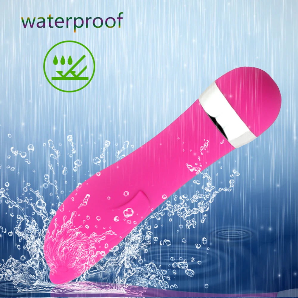 Big/ Small Realist Dildo Vibrator Massager Sex Toys For Women G-spot Clitoris Stimulator AV Stick Female Masturbators